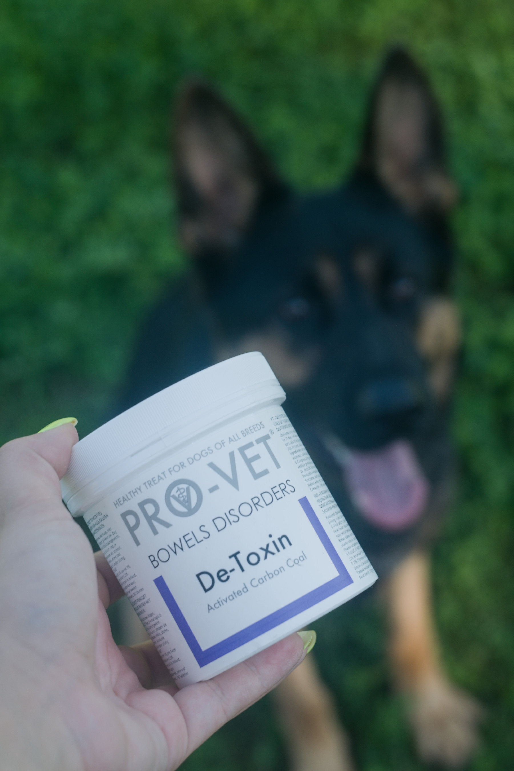 Administrare ușoară a pastilelor PRO-VET De-toxin